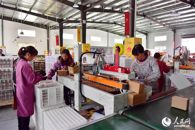 江西莲花:联农带农益农 农产品企业"网红助农"